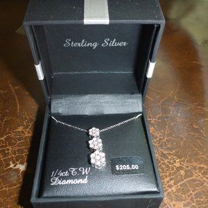 Woman's Sterling Silver Neckless w/ 1/4 ct TW Diamond Pennant
